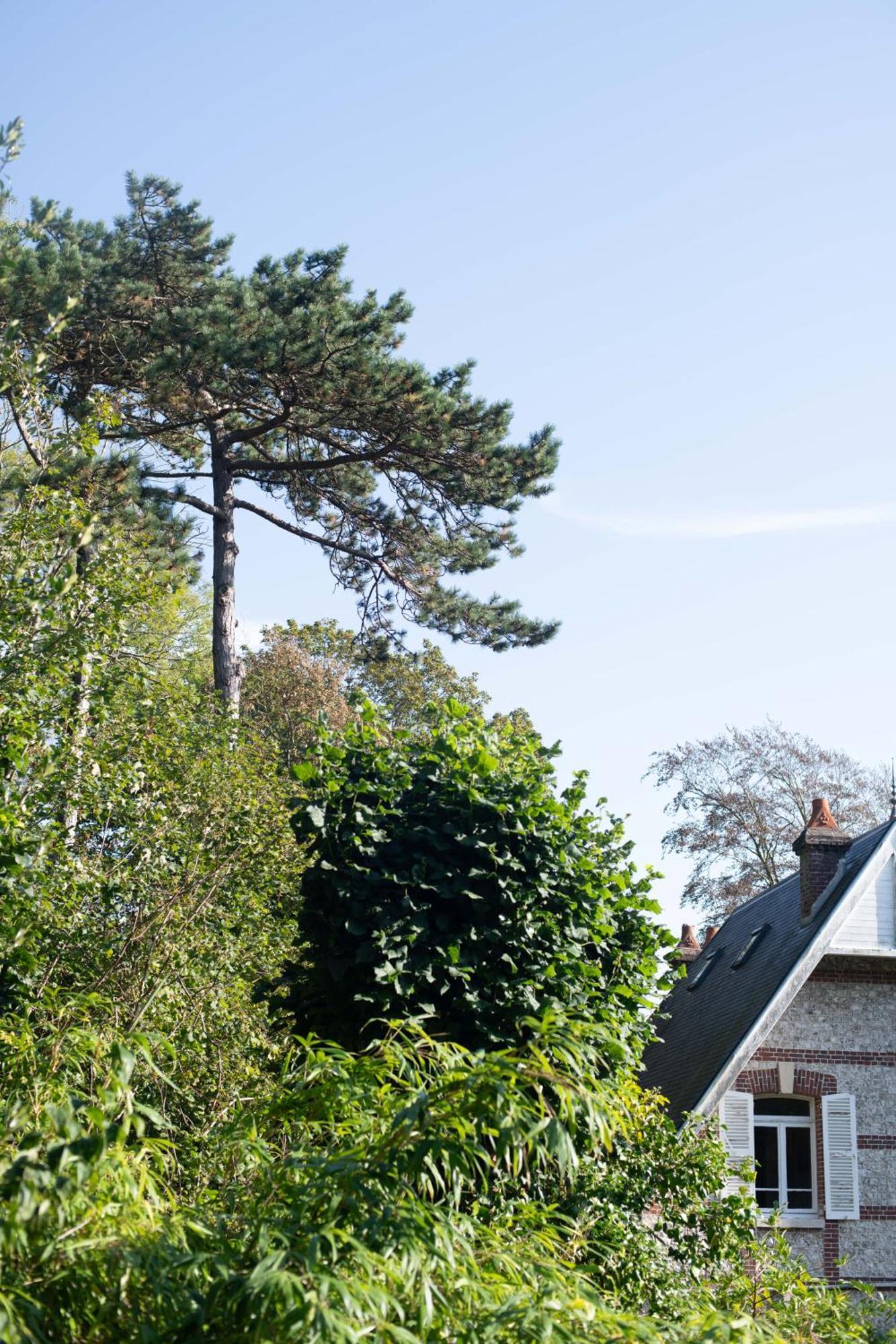 Villa Eliane - Parking Prive Étretat Eksteriør bilde